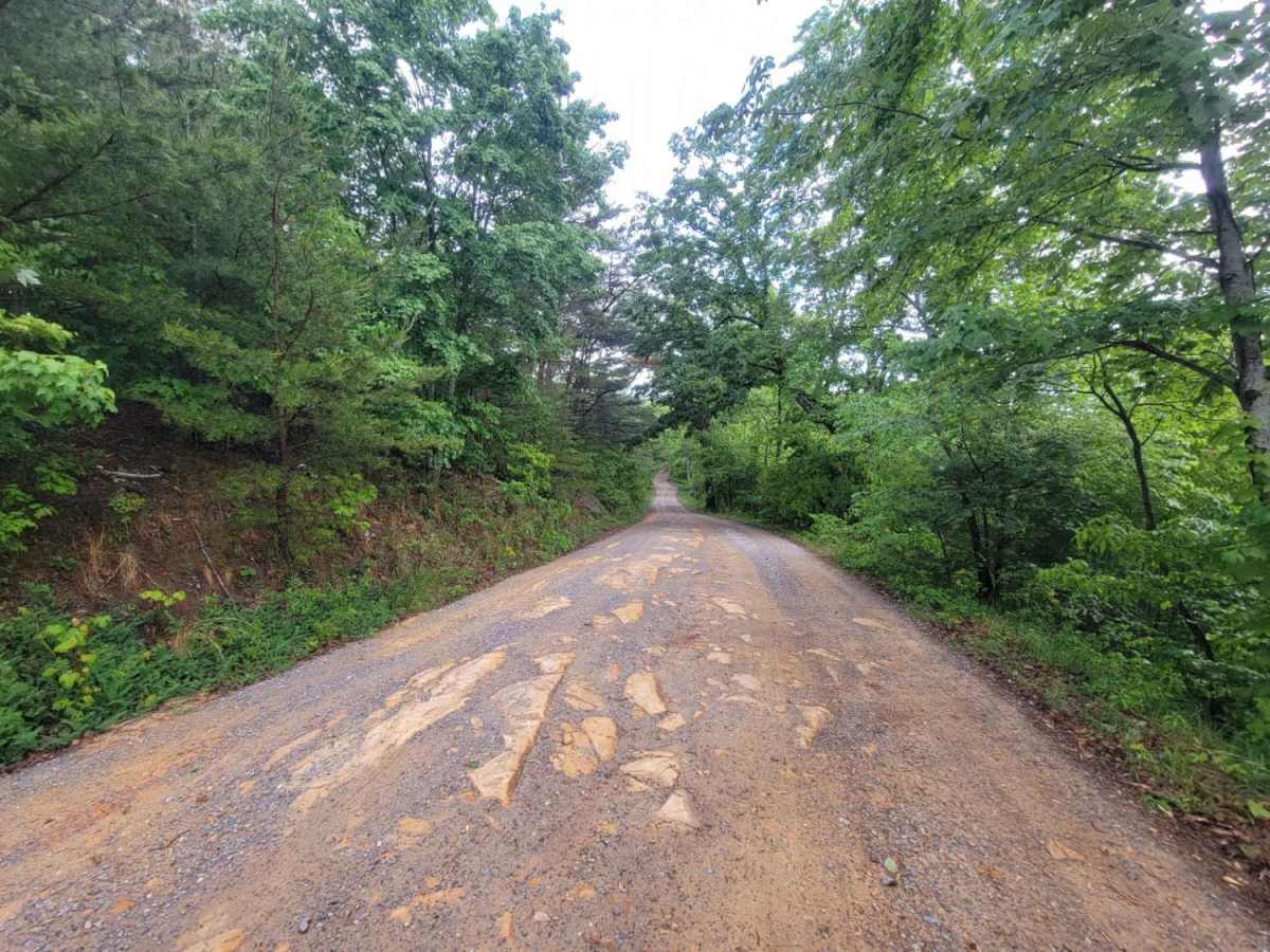 Chilhowee Ridge (Oswald-77) photo 4