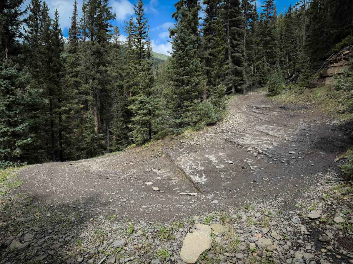 Sardinas Canyon Trail - FS 12 photo 2