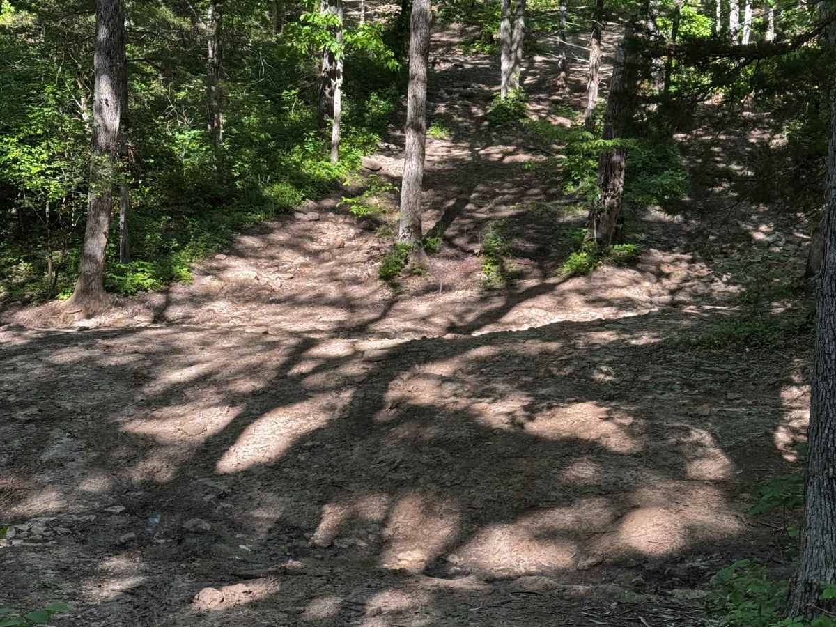 Inner Track 9 photo 2