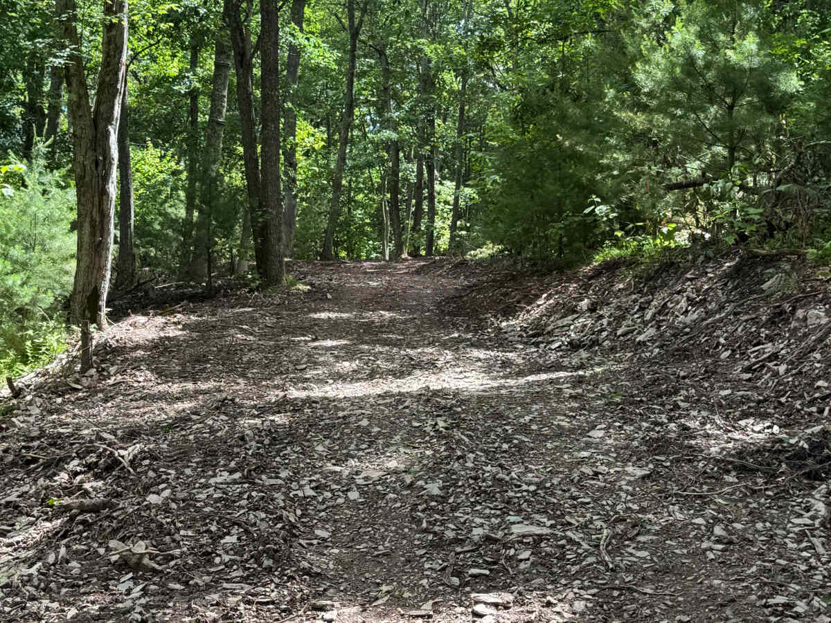 Bail-Out Trail Loop photo 2