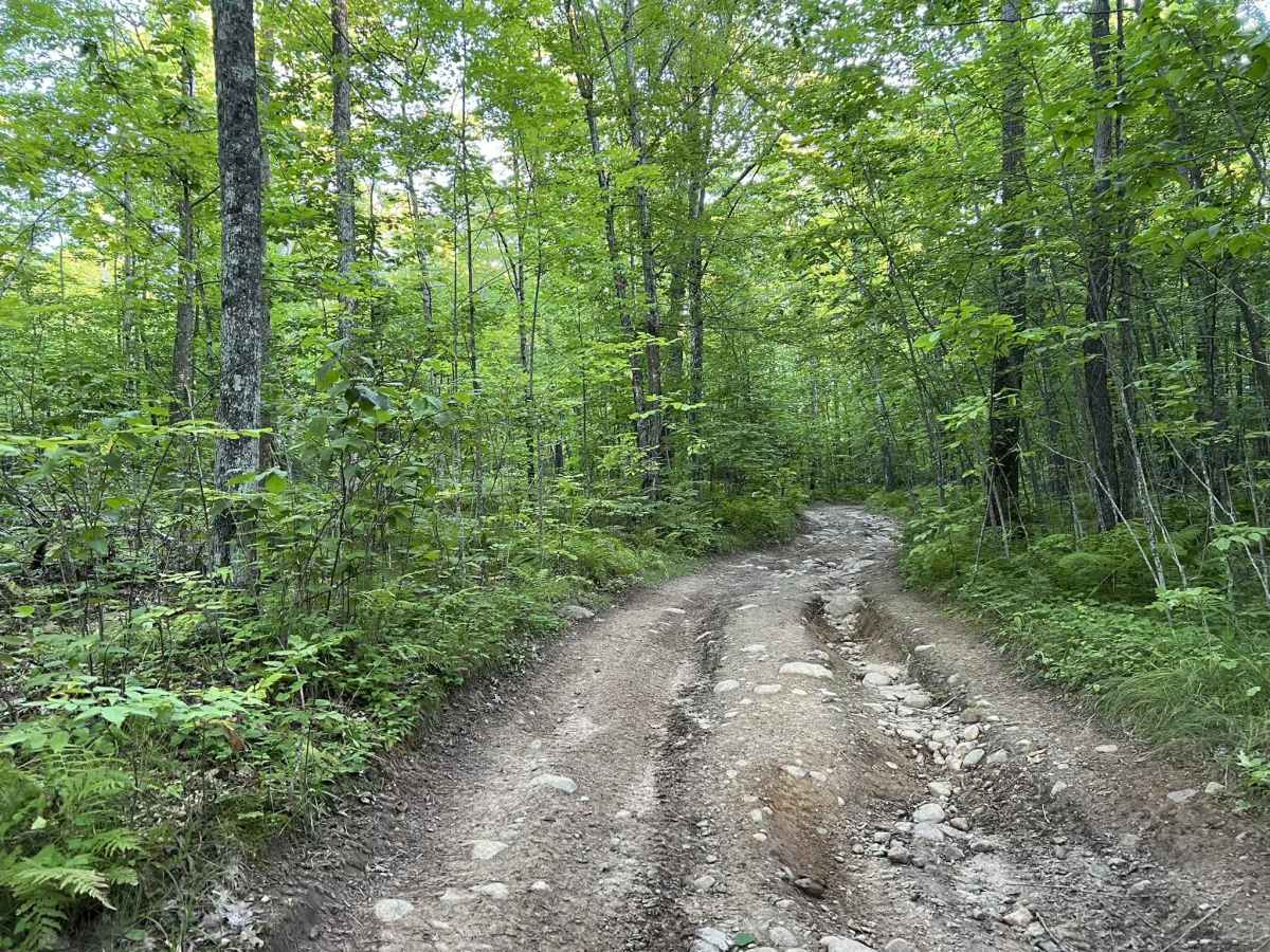 Forest County ATV/SXS 8 Mile Loop Trail 1 photo 4