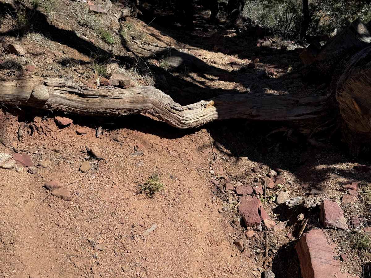 Hyde Mountain Trail #6  photo 6