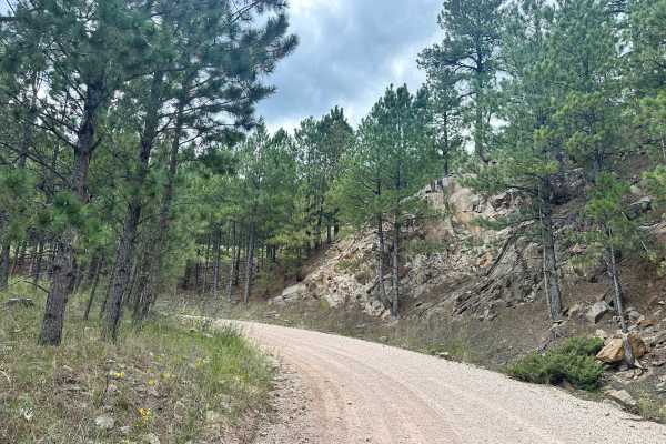 Herbert Draw Road