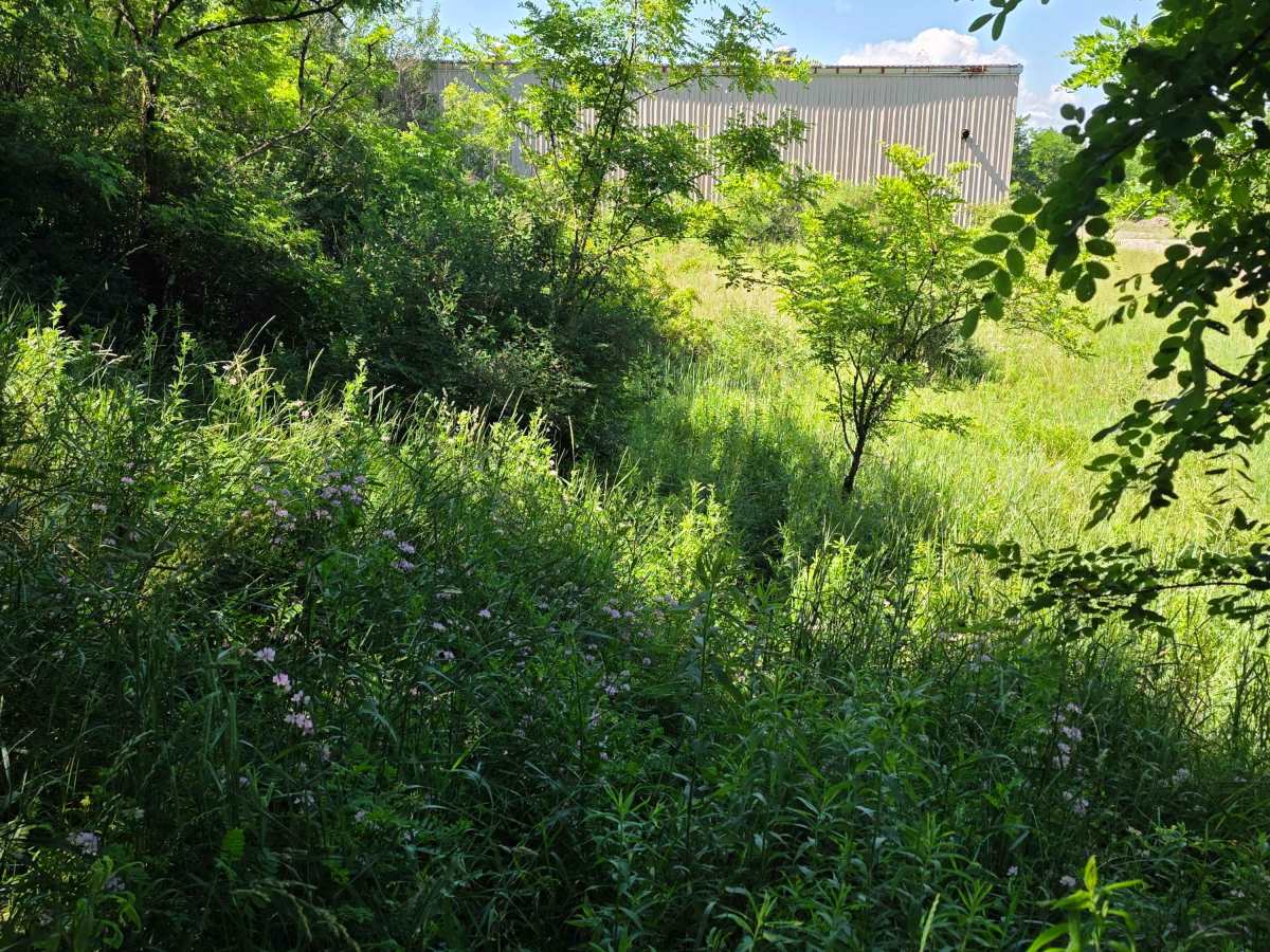 Single Track W photo 6