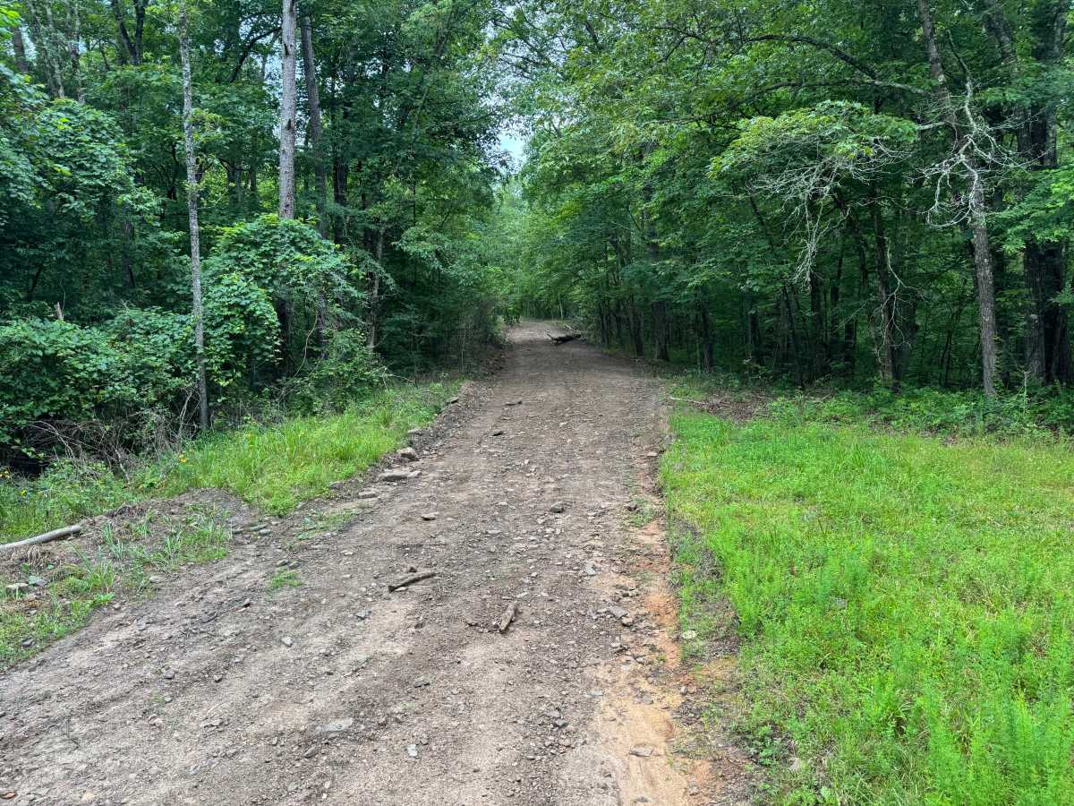 Ark Western 27 trail photo