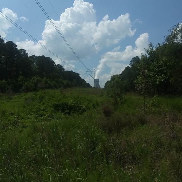 Shearon Harris Near Peninsula Loop