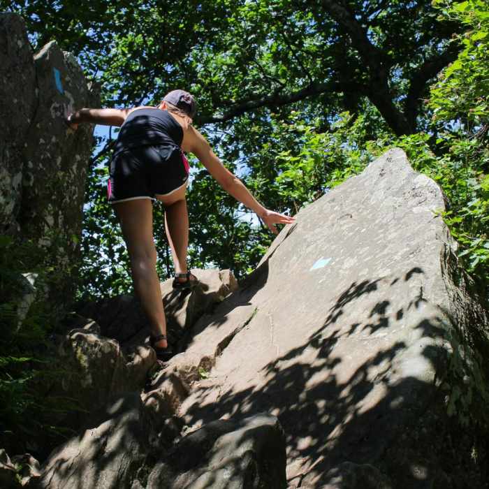 Near Bearfence Loop Trail