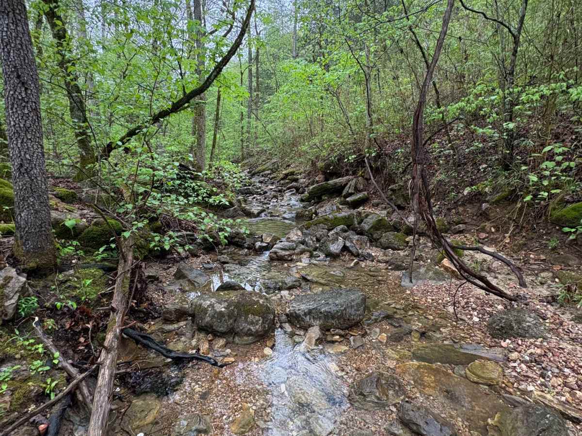 Spring Creek Falls trail photo