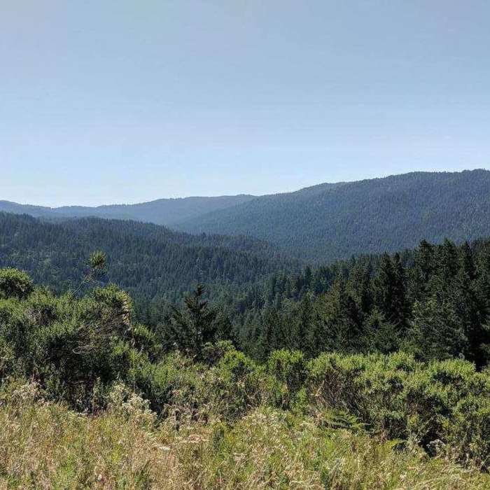 Overlook of the County Park. Near Heritage Grove Loop with Extension & Overlook