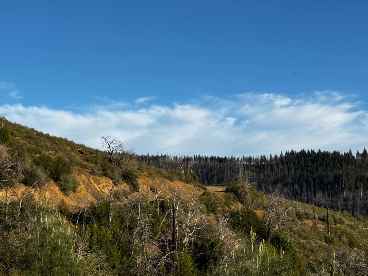 Fouts-Bear Creek Road M10 photo 6
