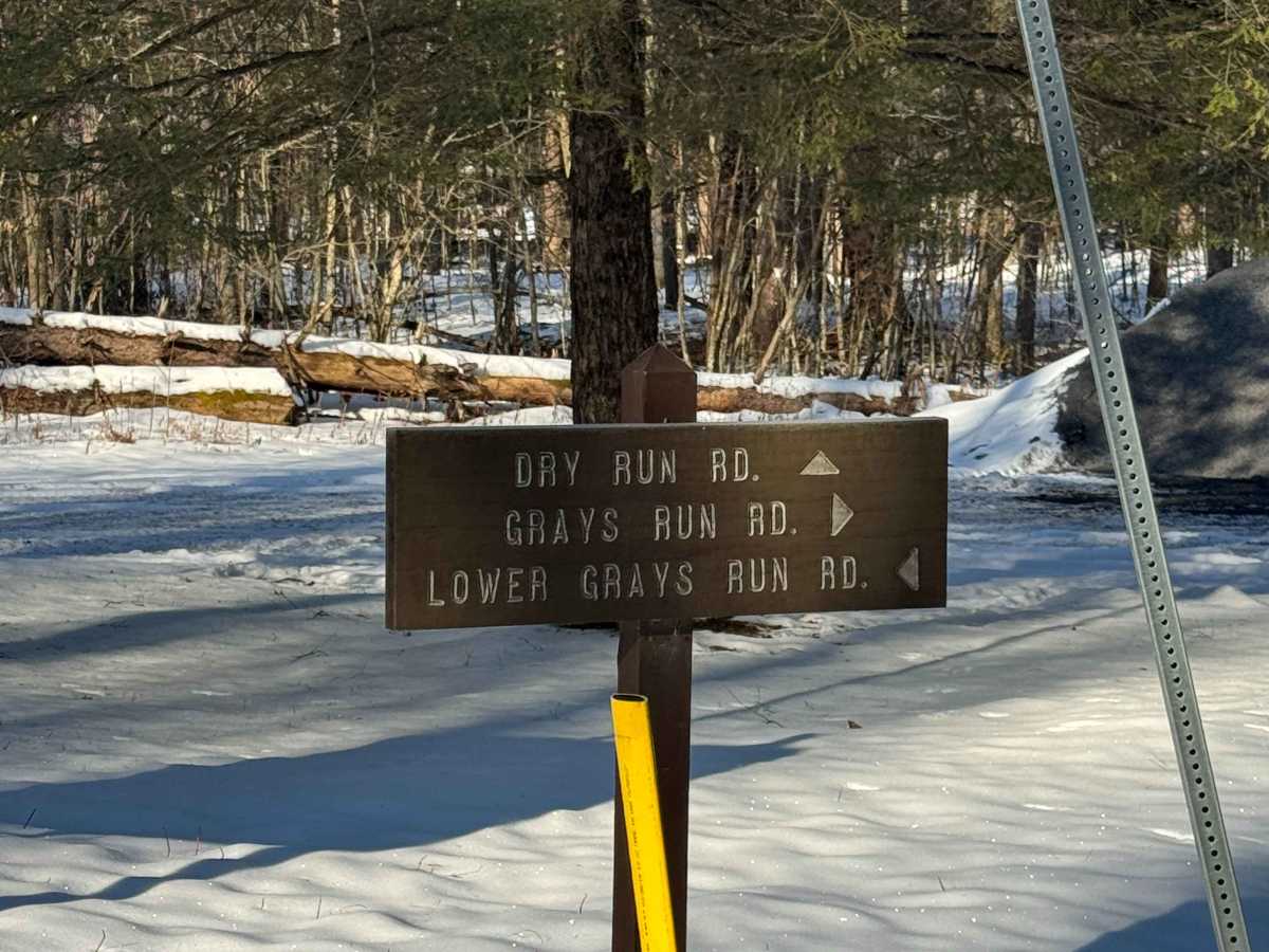 Grays Run Road trail photo