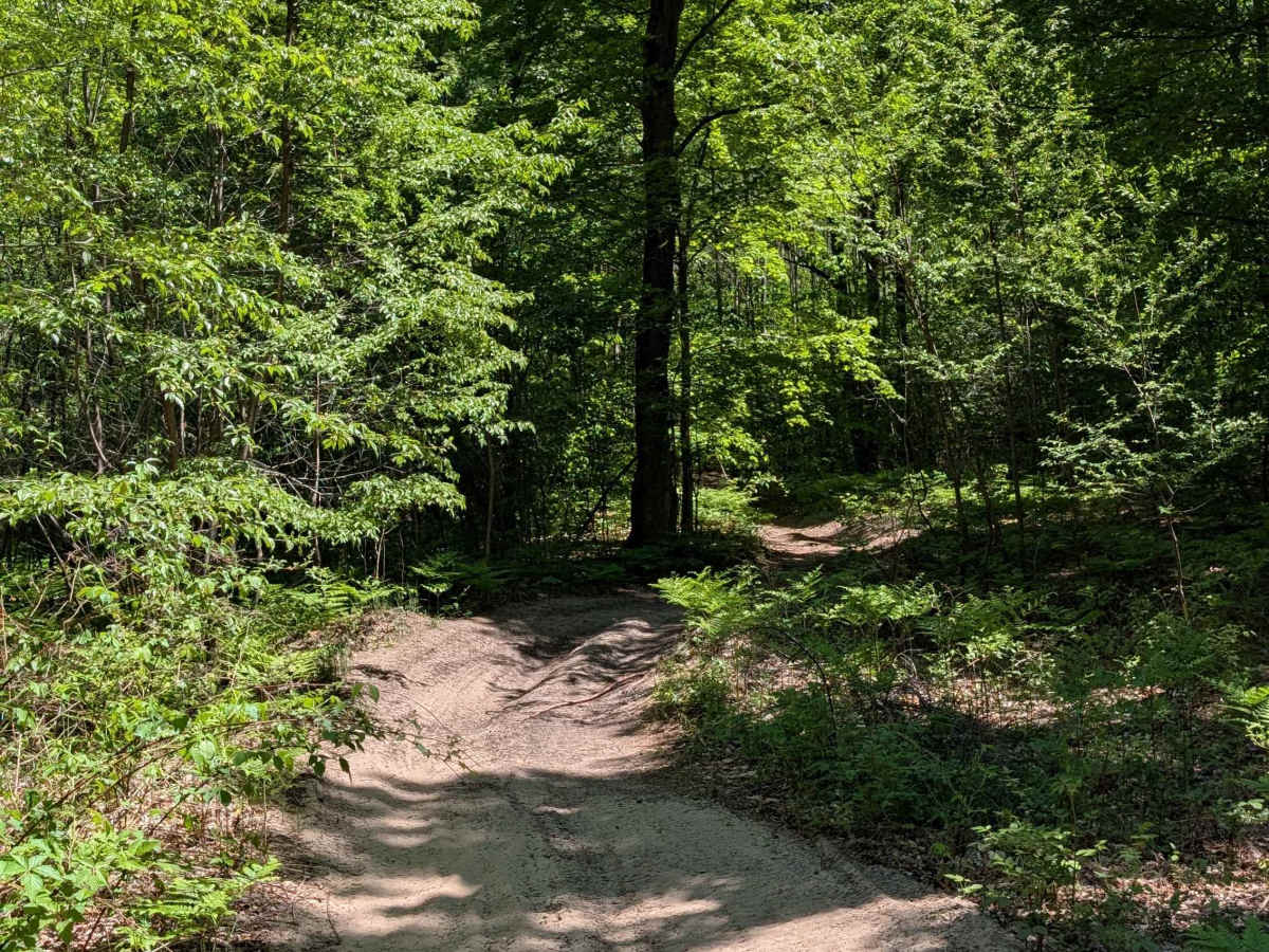 Simpson Trail photo 4