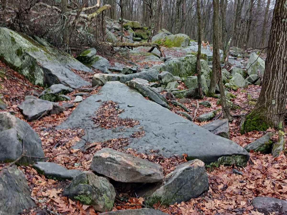 OHV 40 - Rock Run Recreation Area photo 5