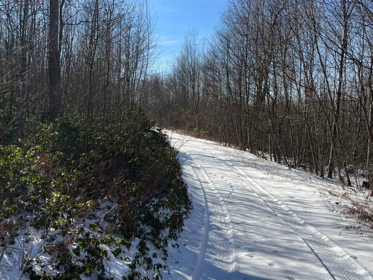 Shirk's Run Trail photo 5