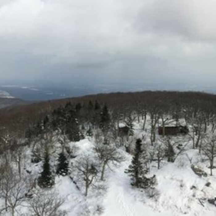 Near Overlook Mountain Trail