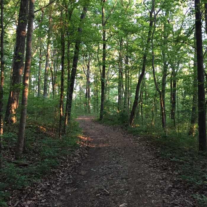 Near Rock Bluff Trail