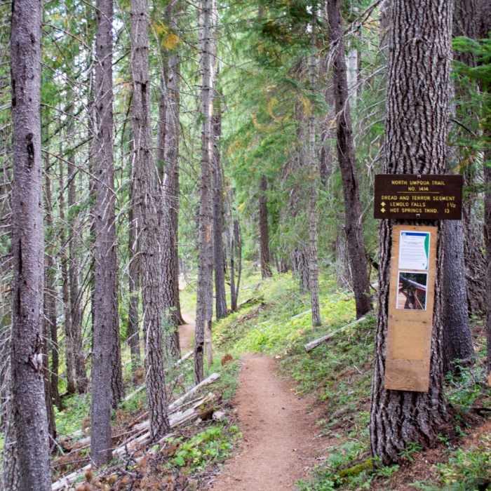 Near Lemolo Falls via the North Umpqua Trail
