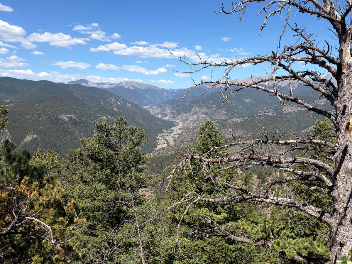 Bellevue Mountain Drive photo 6