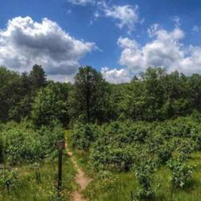 Near Ice Age Trail - Hartman Creek State Park