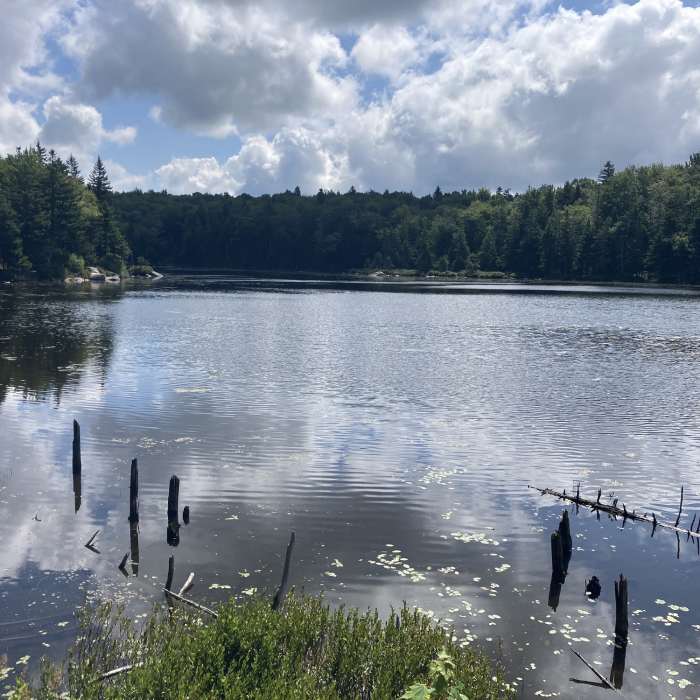 Near Catamount XC Ski Trail: Section 5