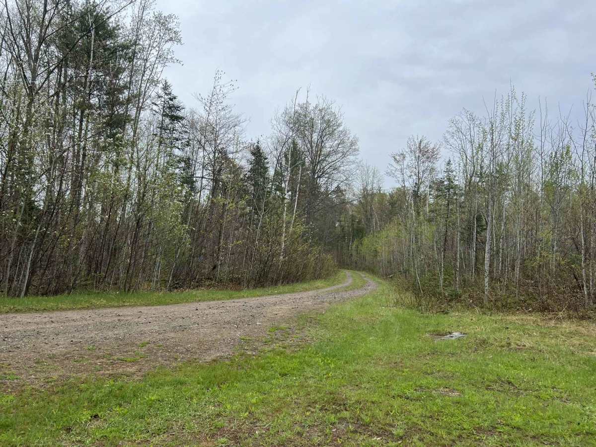 East Sunrise Road - FS 2683 photo 2