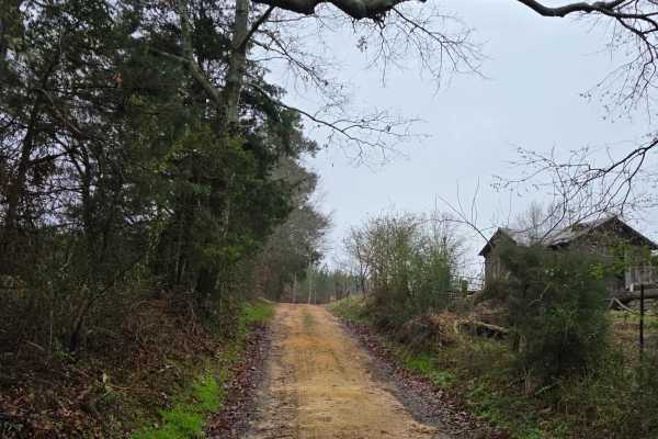 Pond Dam Road