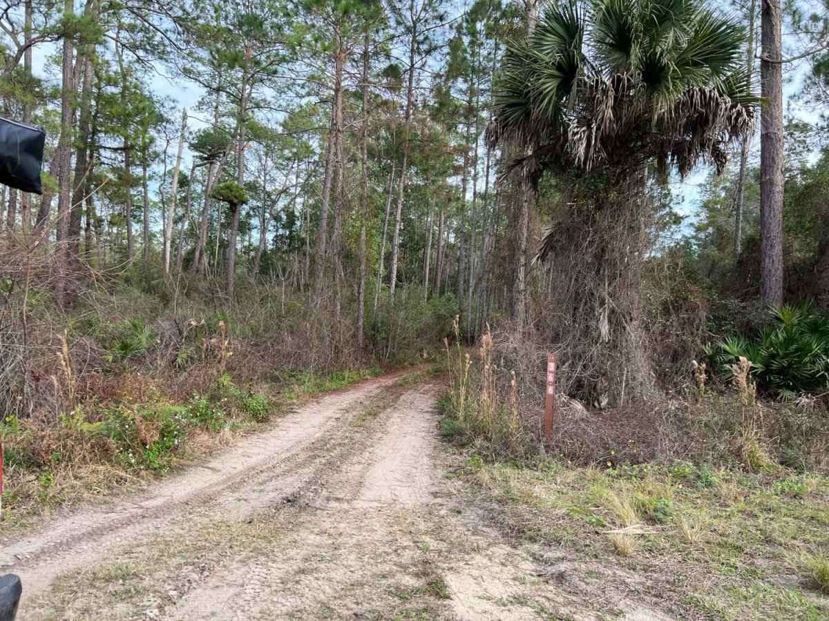 River Road Turn Around photo 2