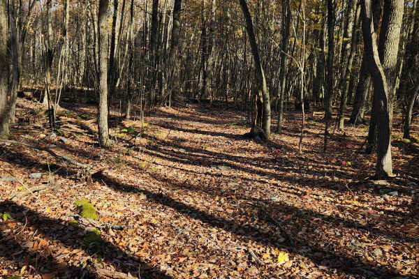 OHV 1 - Rock Run Recreation Area