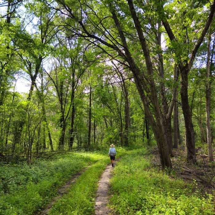 In the park's backcountry. Near Murphy Lake Loop