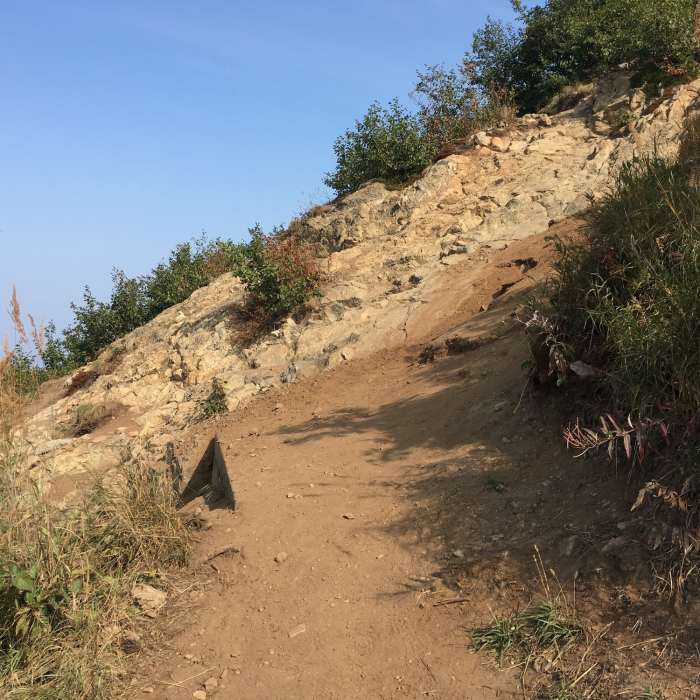 Near Baldy Summit Alternate