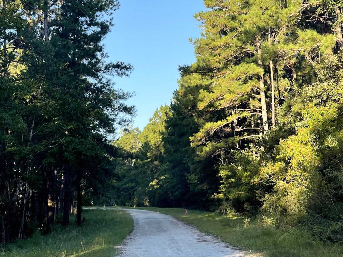 Polaris Road photo 2