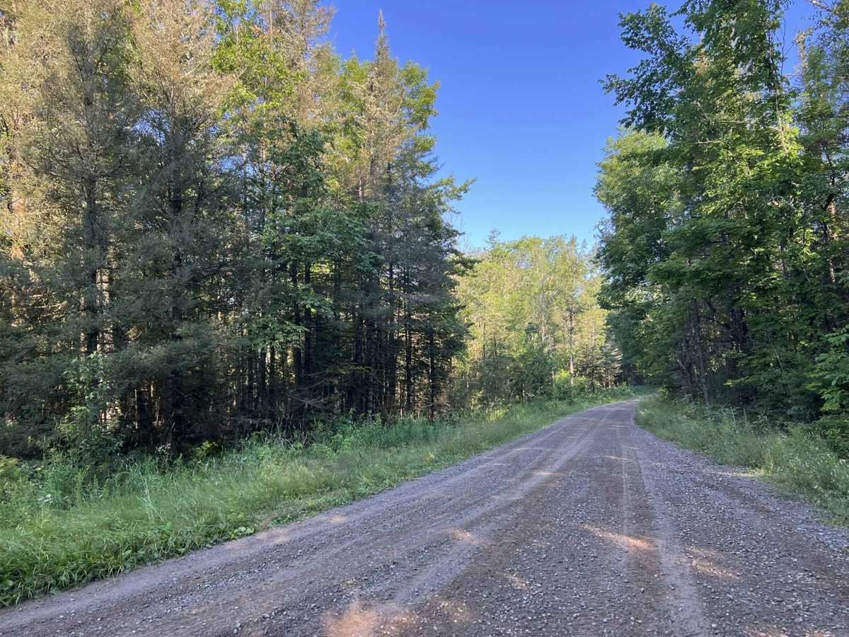 FS 2156 trail photo