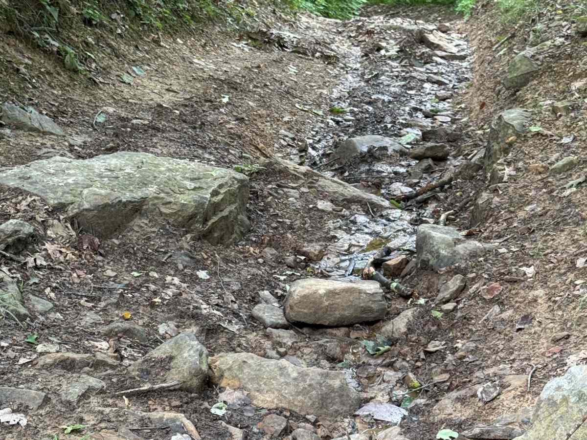 Trail 29 photo 2