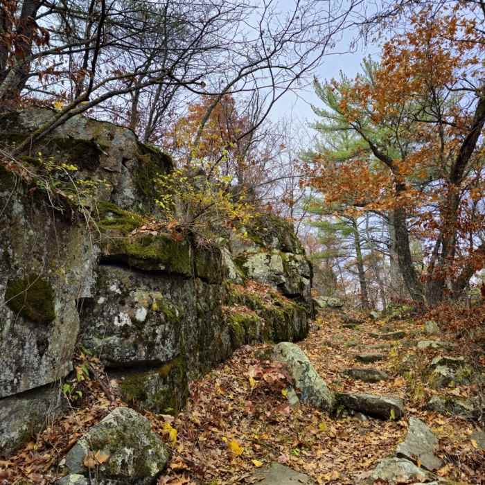 Near Skyline Trail