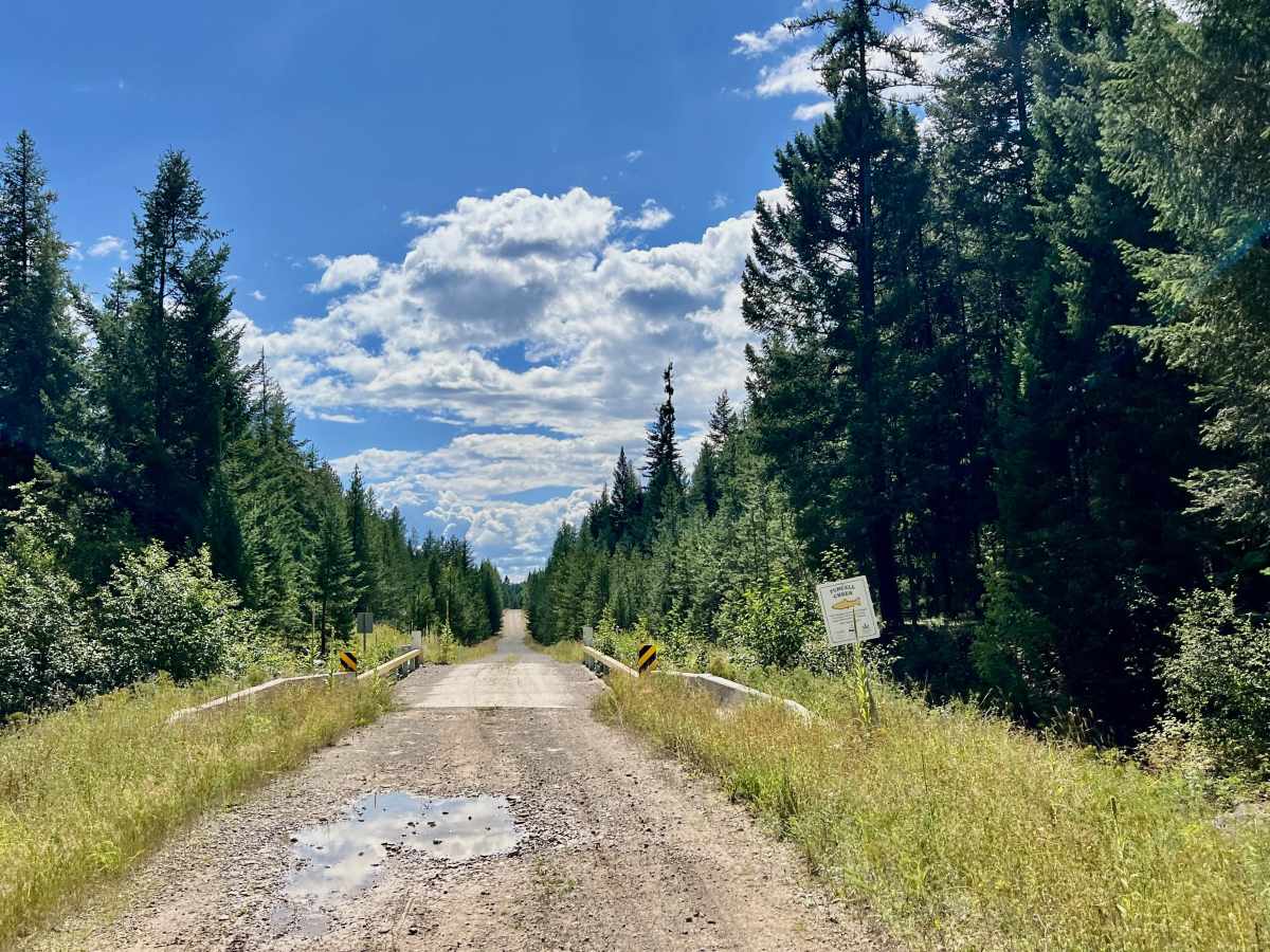 LinkLater Forest Service Road photo 5