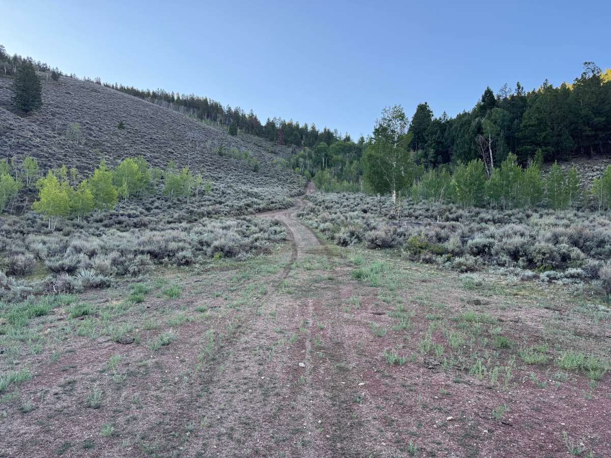 Big Gulch Road trail photo