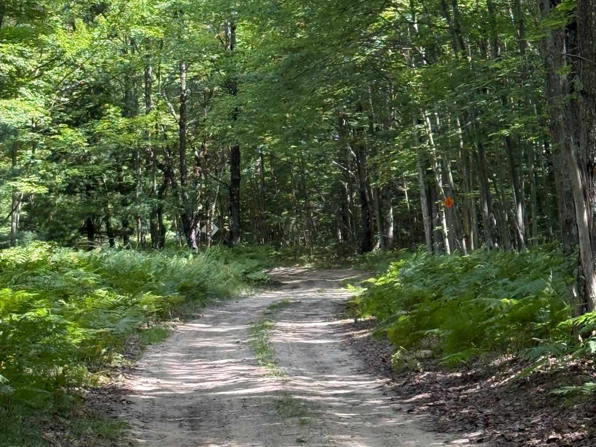 North Deer Trail photo 3