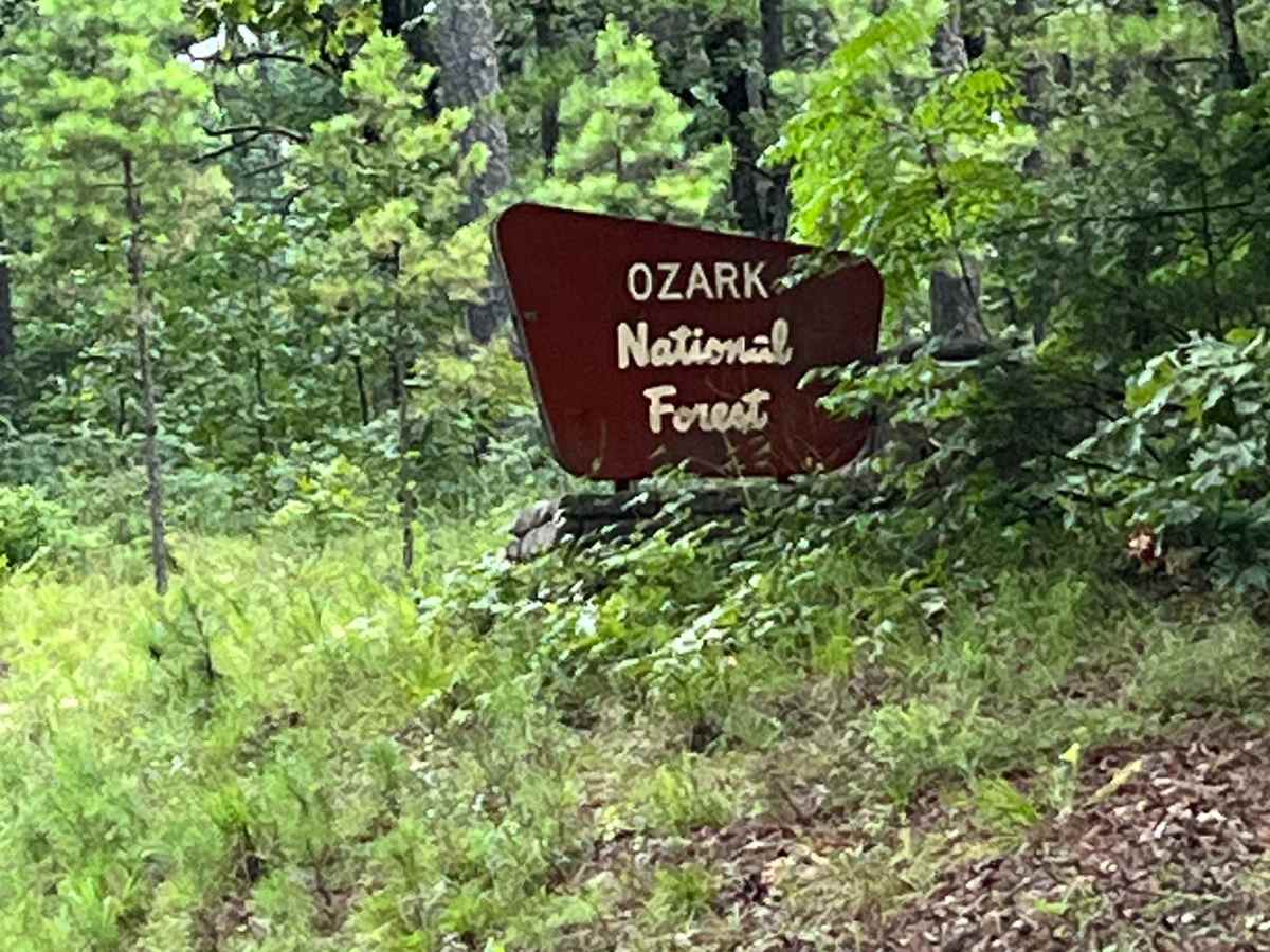 Foresty Road trail photo