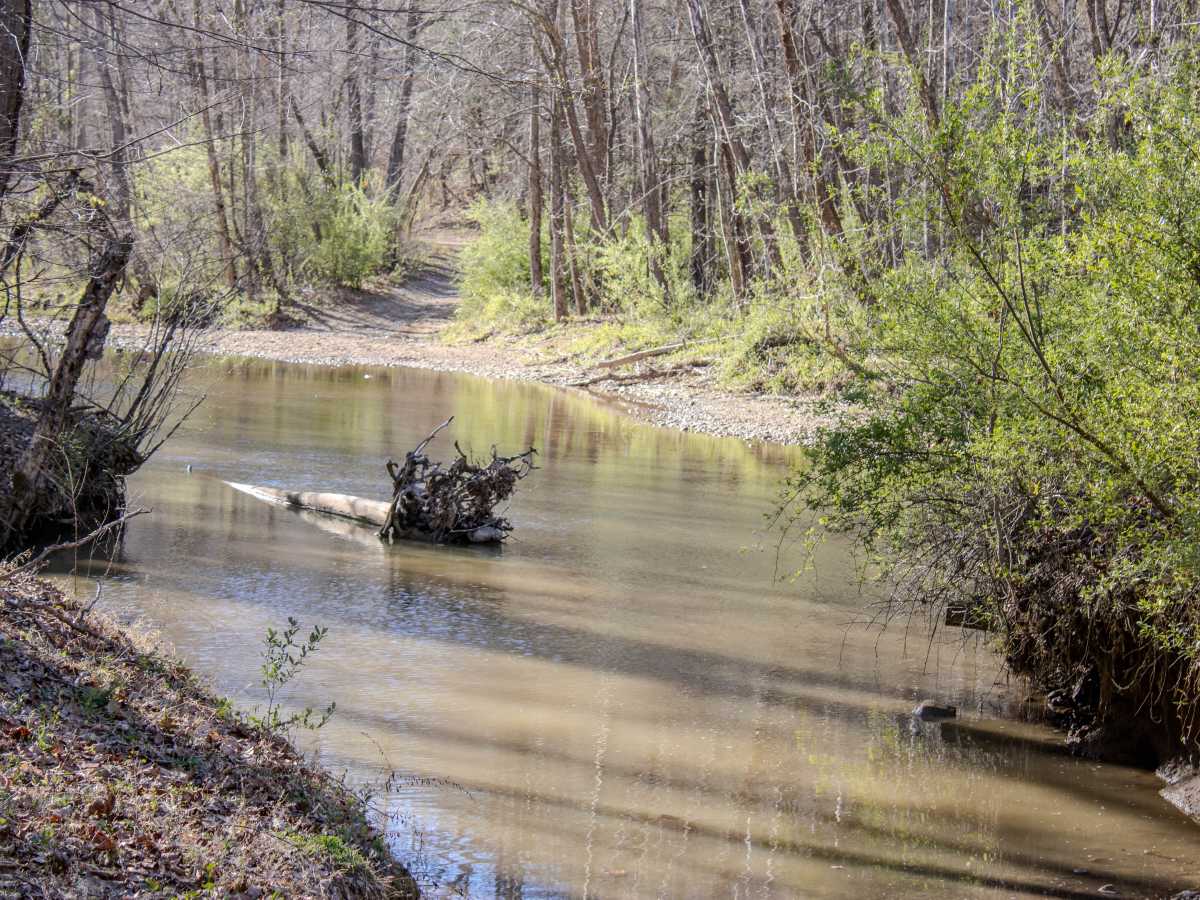 Log Road 1  photo 5
