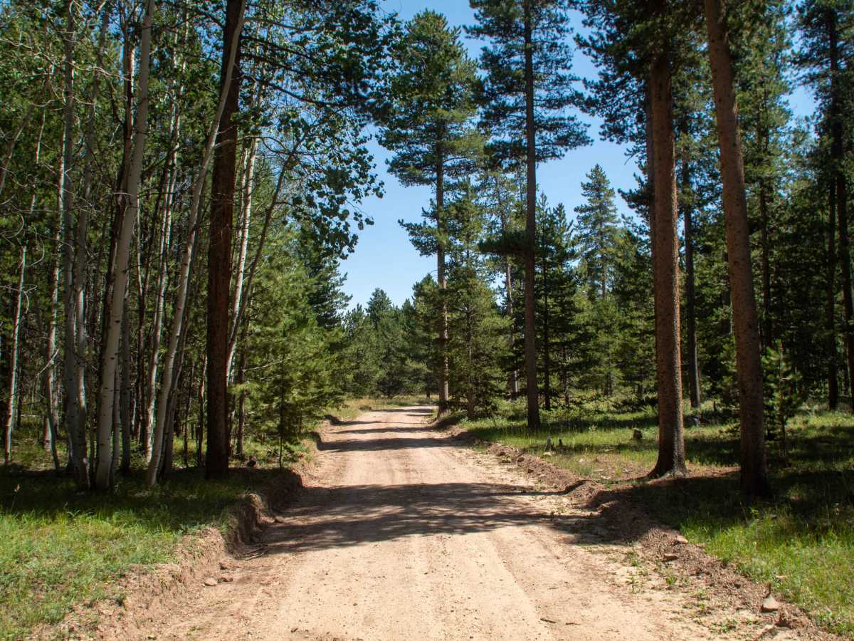 Charleys Park - FS 10234 trail photo