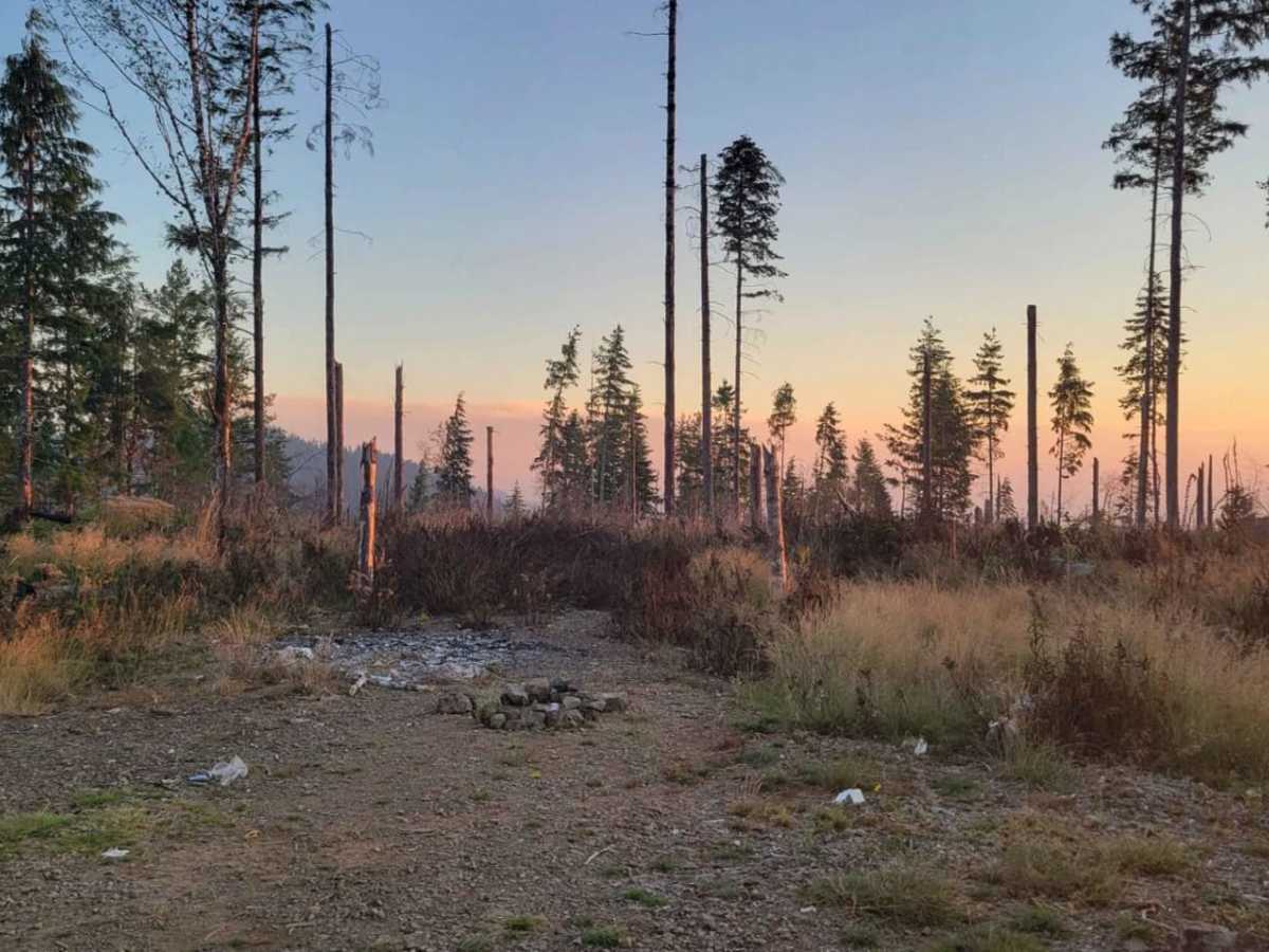 Osterman Cabin Trail photo 5
