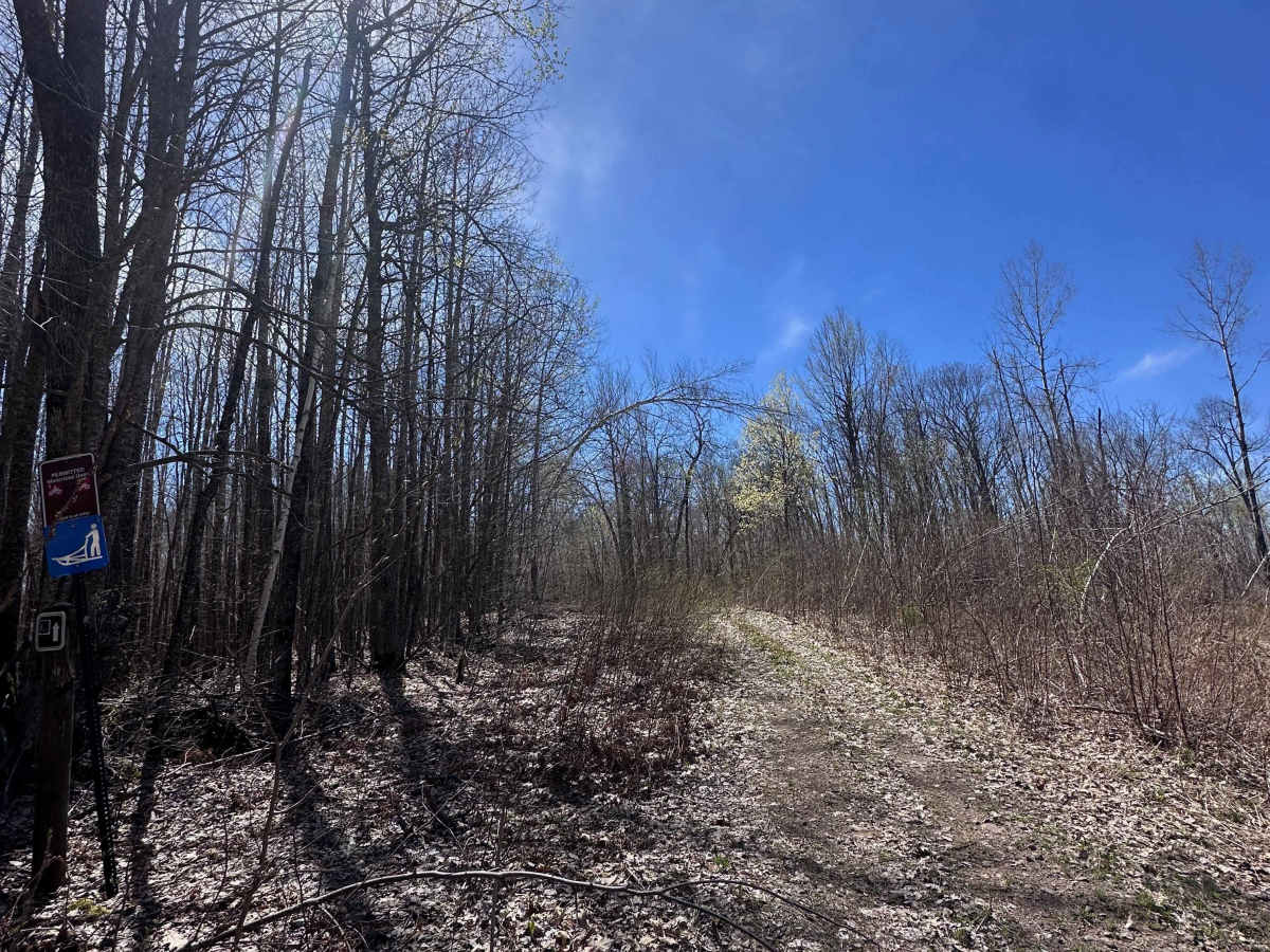 Hunter's Spur trail photo