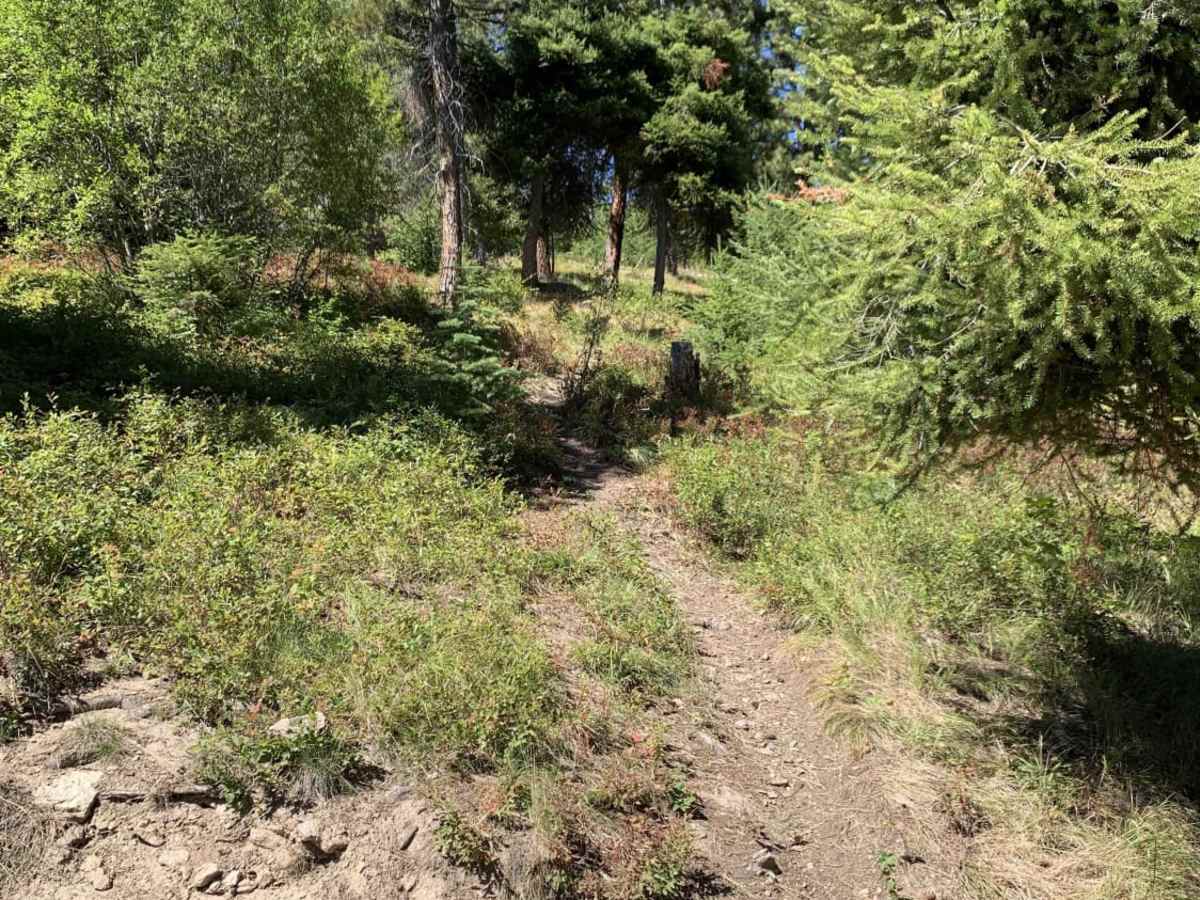 Cow Creek Road and Shiefman Hiking Trail photo 3