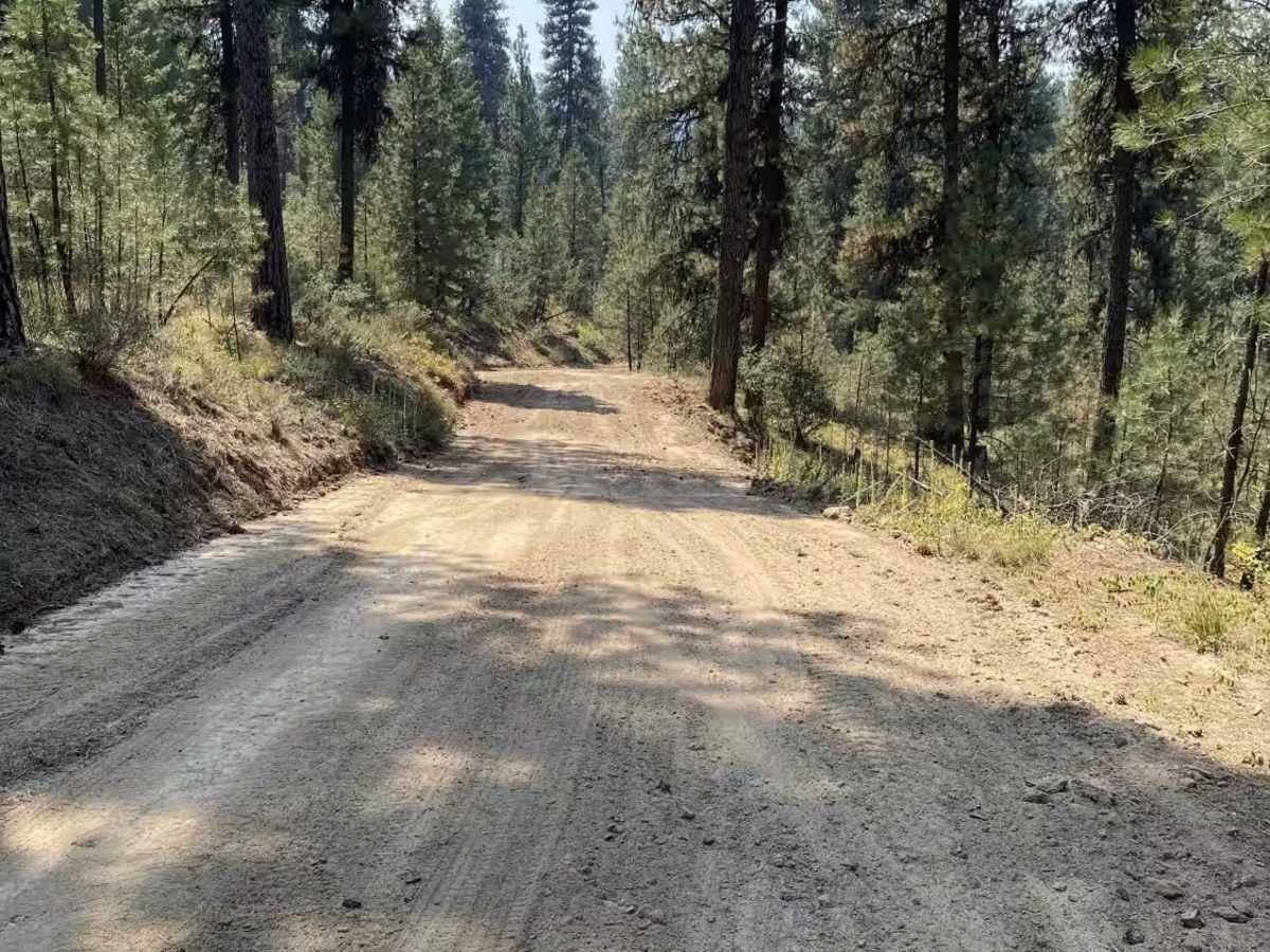 Grayback Gulch - 347 photo 3