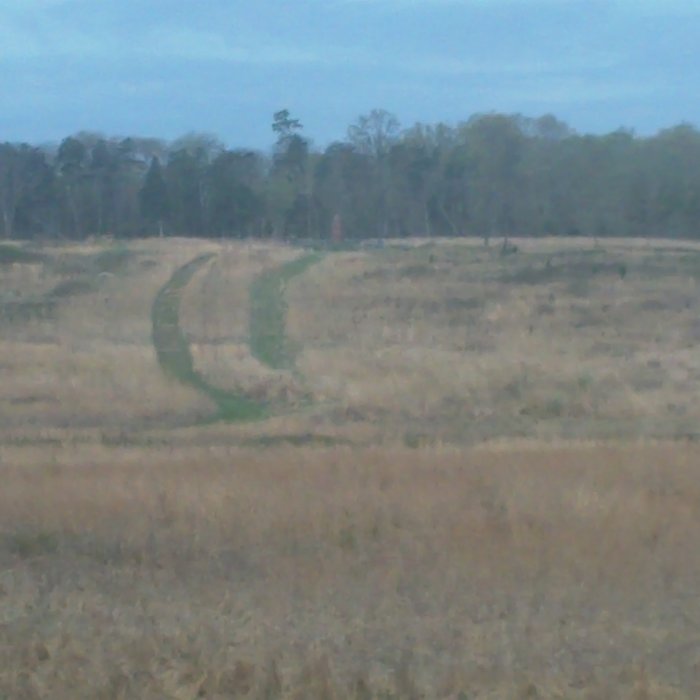Near Groveton Road