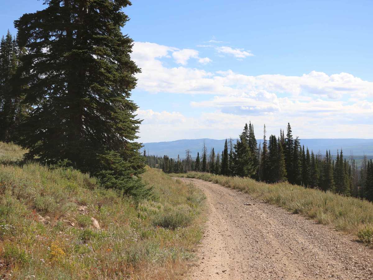 Meadow Creek - FS 80071 trail photo
