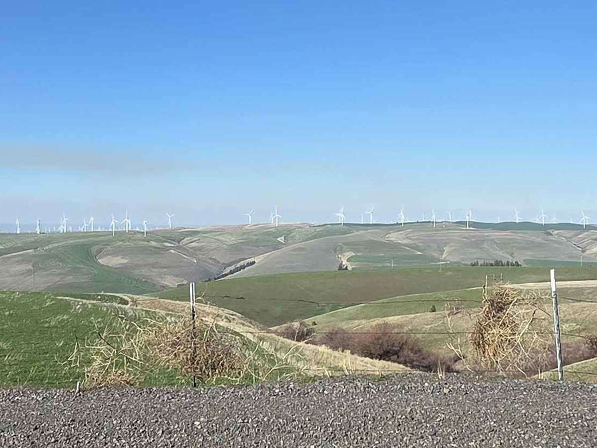 Davis Hollow Road photo 5