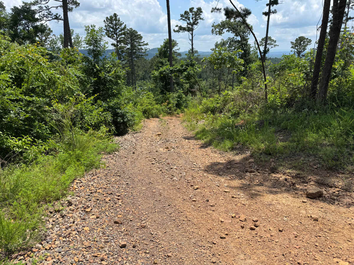 Dry Creek photo 4