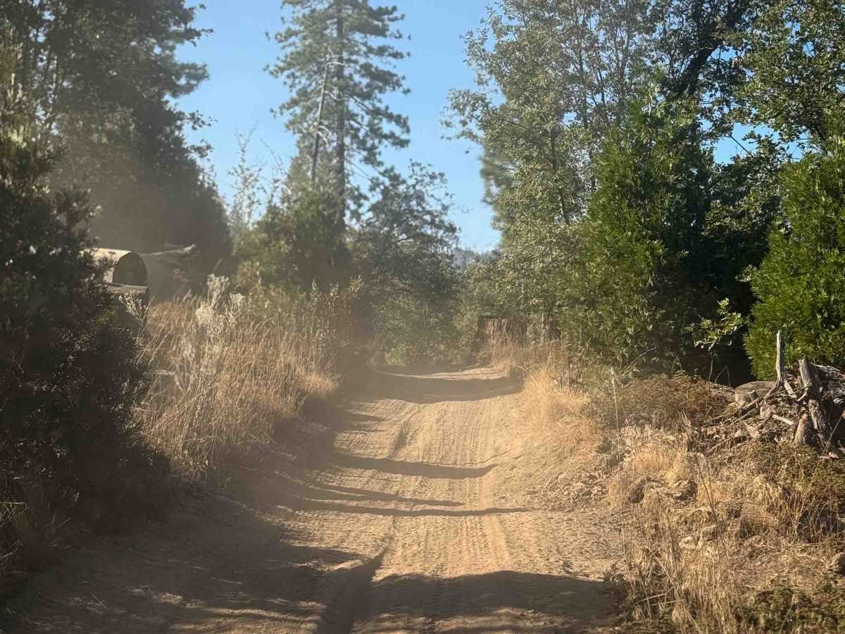 21E227 photo 4