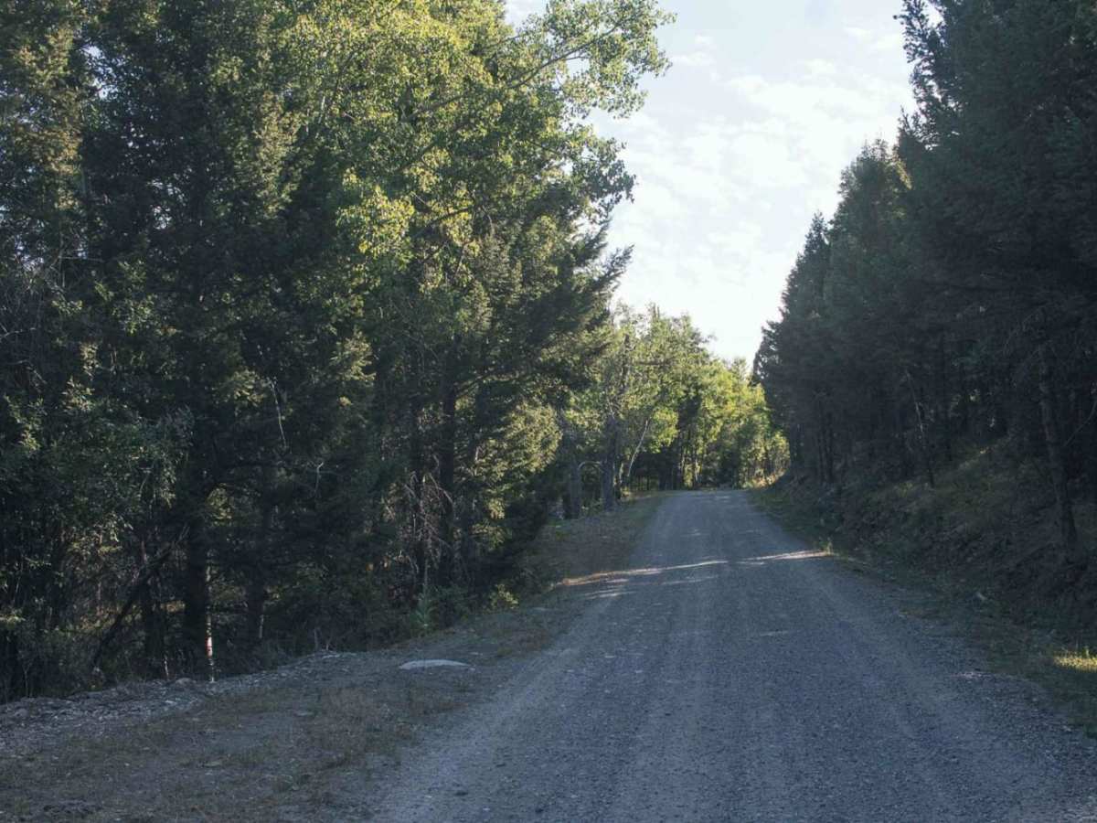 Gold Creek photo 5